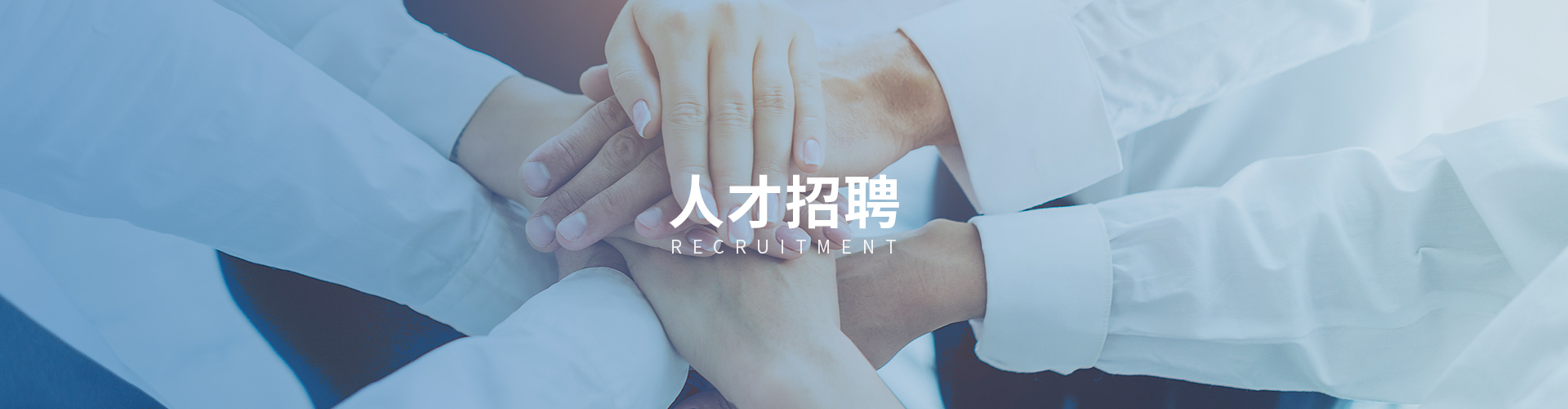 人才招聘